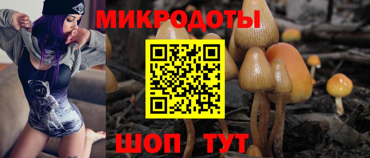 Псилоцибиновые грибы прущие грибы  Вход с VPN  Железногорск 